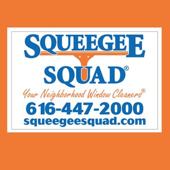 Squeegee squad Web