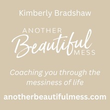 Another Beautiful Mess Web Ad